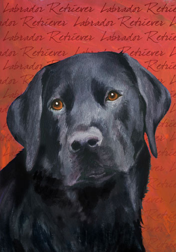 Black Labroador Retriever