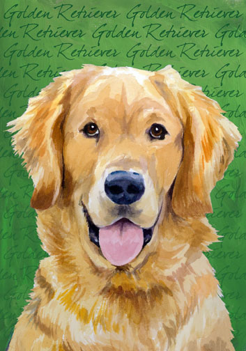 golden retriever