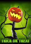 pumpkin tree