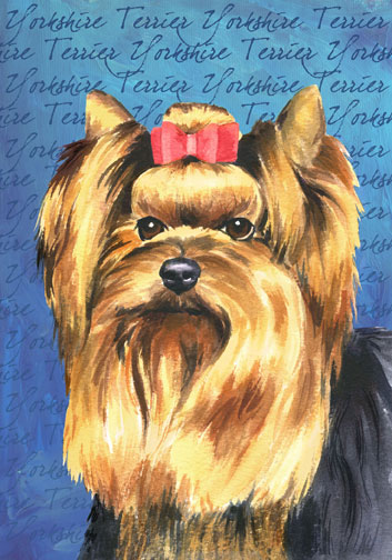 yorkshire terrier