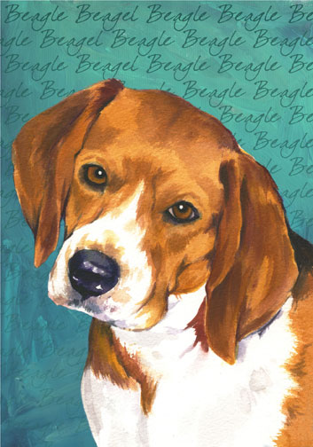 beagle