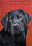 Black Lab
