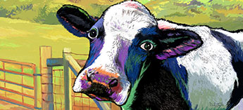 colorful cow mat