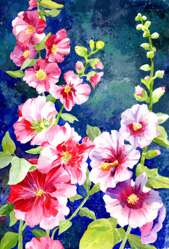 hollyhocks