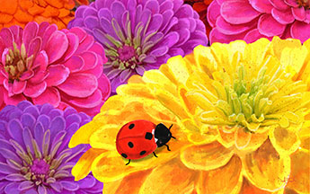 ladybu zinnias mat