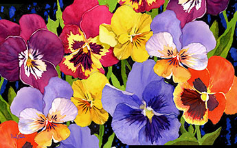 pansies mat