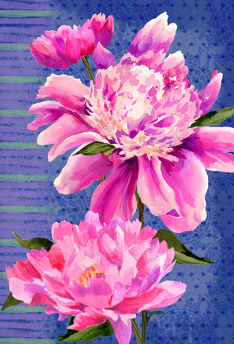 peonies