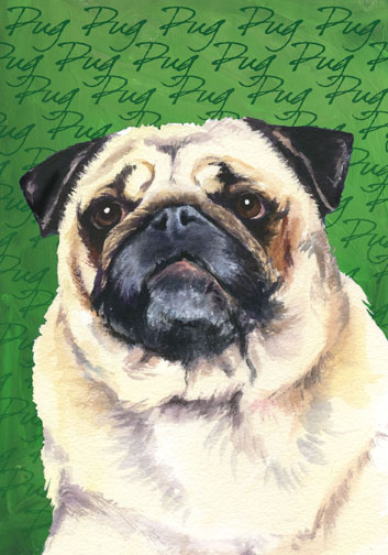 pug