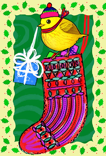 bird stocking