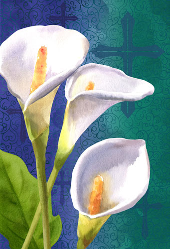 calla lilies