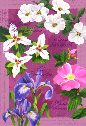 vcanadian flowers