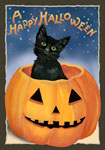 cat in pumpkin