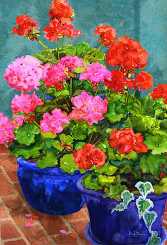 geraniums