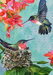 Hummingbirds