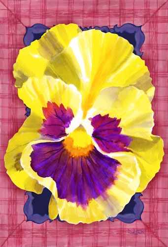 pansy