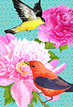 peonies birds