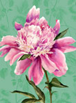 peony