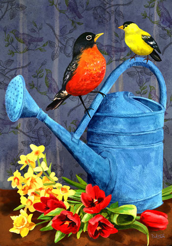 robin finch