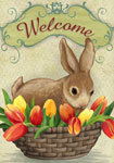 Welcome Bunny